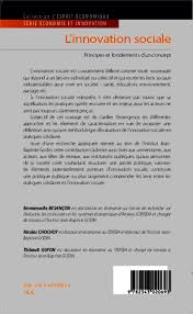 The centre for social innovation is the home for the next economy. L Innovation Sociale Principes Et Fondements D Un Concept Emmanuelle Besancon Nicolas Chochoy Thibault Guyon Livre Ebook Epub
