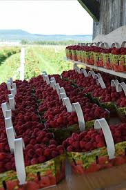 Pin On Ou Manger En Gaspesie