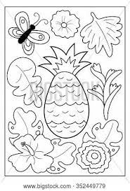 By collecting tropical beach coloring page with similar. Summer Coloring Page Vector Photo Free Trial Bigstock