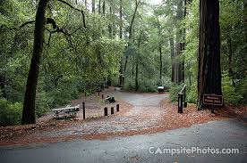Maybe you would like to learn more about one of these? Portola Redwoods State Park Campsite Photos Campsite Availability