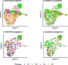 A desert plant with sharp points instead. Cactus Integrating Clonal Architecture With Genomic Clustering And Transcriptome Profiling Of Single Tumor Cells Genome Medicine Full Text