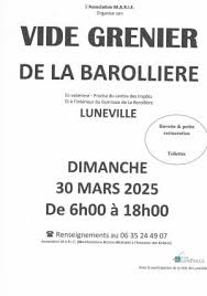 Photo Vide greniers : Vide greniers a Luneville
