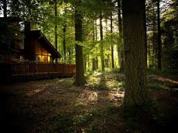 Escape the rat race and step into our luxury, rural retreat. From Lodges To Cabins Here S Scotland S 10 Best Cosy Retreats Heraldscotland