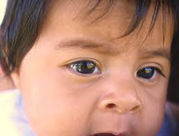 Instinto Maternal program travels north to follow migrants