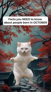 Facts about people born in October #october #libra #scorpio #catmeme  #catsoftiktok