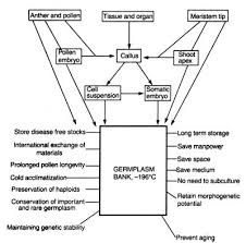 19 articles in this issue. Cryobiology Biocyclopedia Com All About Biology Chemistry More