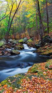 New Iphone Wallpaper Iphone Wallpaper Nature Scenes Nature Photography Scenery