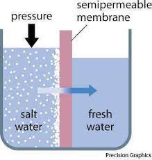 Osmosis is the process by which a liquid passes through a thin piece of solid substance. Fire Fighting System For Building Reverse Osmosis Definition