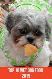 Our Top 10 Wet Dog Food Brands To Keep Your Pup Hydrated Dog Food Brands Wet Dog Food Dog Food Recipes