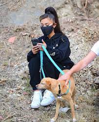231 results for ariana grande hoodie. Ariana Grande Black Oversized Hoodie Street Style Spring Summer 2020 Sassy Daily Fashion News
