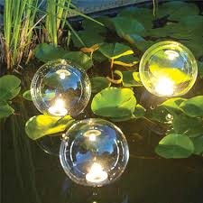 Your Pond At Night Pondkeeper Blog
