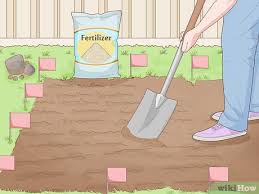 Pour equal amounts of water and buttermilk into a blender to get your moss smoothie started. 3 Ways To Grow A Garden Wikihow