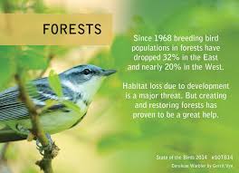 The Good News Bad News For Birds Living In Forrests Sotb14 Bird Habitats Bird Species