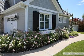Roses Gates Sales And Survival The Sunny Side Up Blog Landscaping Around House Fire Pit Landscaping Yard