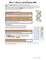 Dna and protein synthesis study g. Copy Of M5 L1 Gizmo Lab Building Dna Pdf M5 L1 Gizmo Lab Building Dna Prior Knowledge Questions U200b Do These Before Using The Gizmo Dna U200b Is An Course Hero