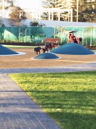 An Enclosed Dog Park We Designed In Collaboration With Landscape Architectural Firm Aspect Studios Adelaide South Aus Dog Park Design Dog Park Diy Dog Kennel