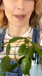 An introduction about PPM shared by curator @emmaduehrmitchell