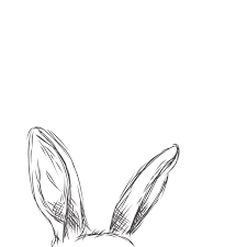 The shapes get wider as they go upwards and have rounded tips. Bunny Ears Drawing Bunny Tattoos Bunny Ears Drawing How To Draw Ears