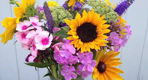 We did not find results for: Northern Michigan U Pick Flower Farms Mynorth Com