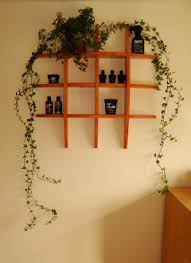 Aim to take cuttings before cold weather sets in. Hedera Helix English Ivy Guide Our House Plants