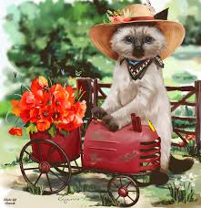 The Grass Is Always Greener On The Other Side Meaning In Marathi Https Encrypted Tbn0 Gstatic Com Images Q Tbn 3aand9gcqpqgwi3havu Tdqbtcb8aweeromz1kwvuasw Usqp Cau