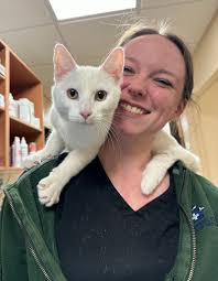 Enchanted Tails Animal...