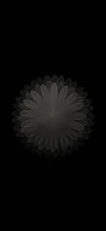 Enjoy and share your favorite beautiful hd wallpapers and background images. Apple Iphone Flower Wallpaper Wallpapershit