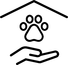 Download Pets For Adoption At Town Of Swansea Animal Shelter In Swansea Ma Petfinder