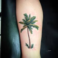 Palm Tree Tattoo 110 Palm Tree Tattoo Ankle Palm Tree Tattoo Tree Tattoo Ankle