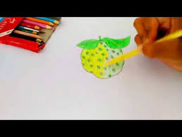 Mewarnai gambar buah buahan dalam keranjang mewarnai pinterest via pinterest.com. Belajar Menggambar Dan Mewarnai Buah Mengkudu Youtube