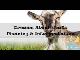 10 Dreams About Goats Meaning And Interpretation Goat Meaning Dream Interpretation Dream