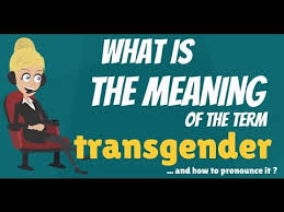 People call it gender reassignment, realignment, or confirmation surgery; What Is Transgender What Does Transgender Mean Transgender Meaning Definition Explanation Youtube