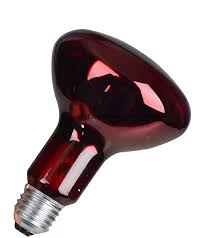 China Infrared Lamp R30 R95 100w Infrared Bulb Ture Red Glass For Body Treatment China Infrared Lamp Infrared Bulb