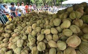 Pesta durian shah alam 2017. Portal Kerajaan Negeri Selangor Darul Ehsan