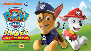 Paw patrol dessin anime pour les enfants youtube. Pat Patrouille En Francais Jeux Video De Dessin Anime Paw Patrol En Francais Complet Mission Youtube