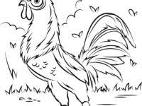 Ayam merupakan salah satu hewan yang banyak dipelihara oleh masyarakat, biasanya… Contoh Gambar Gambar Mewarnai Ayam Lucu Kataucap
