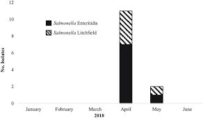 Check out what's clicking on foxnews.com. Number Of Clinical Isolates With One Of The Salmonella Outbreak Download Scientific Diagram
