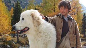 Sébastien lives with his adopted grandfather, sister, and brother, as his mother, a romani. Belle Sebastian Belle Et Sebastien Rome Review Hollywood Reporter