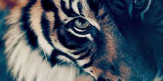 أفضل خلفيات ايفون ساده best wallpapers 1600 x 900 أكبر البوم صور لخلفيات اجهزة الايفون والأي iphone wallpaper wallpaper iphone 7 wallpapers