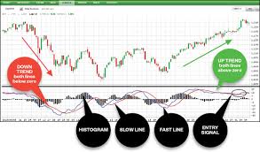 i spy spotting stock trends at a glance with macd ticker tape