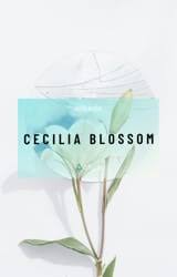 Players will know when they have. Cecilia Blossom áƒ Genshin Impact