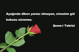 Check spelling or type a new query. Can Alici Sozler Can Alici Mesajlar Super Guzel Sozler Guzel Soz Cift Yildiz Mesajlar