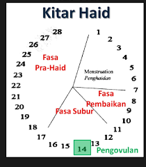 Kitaran haid normal bagi wanita. Jus Zuriat Terengganu Kaitan Kitaran Haid Dengan Persenyawaan Persenyawaan Persenyawaan Tidak Boleh Berlaku Semasa Haid Kerana Ovum Tidak Dapat Bersatu Dengan Sperma Hal Ini Kerana Darah Haid Keluar Bersama Sama Dengan