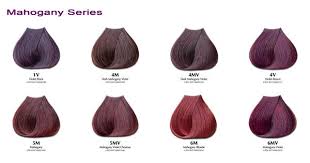 Satin Hair Colors Buy Online Hair Colors Ysb Beauty Hair Color Mahogany Mahogany Hair Professional Hair Color