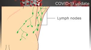 Feeling around your neck or armpits, feeling for lymph nodes can heighten anxiety…just thinking about it. Swollen Lymph Nodes And The Covid 19 Vaccine Norton Healthcare Louisville Ky