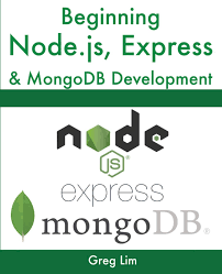 We used nodejs as backend and reactjs as frontend for stripe implementation in this blog. Beginning Node Js Express Mongodb Development Lim Greg 9789811480287 Amazon Com Books