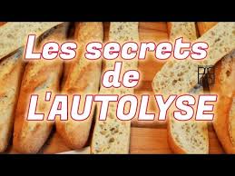 L Autolyse Youtube