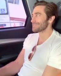 Announced they don't bathe — ms. 900 I Jake Gyllenhaal Ideas In 2021 Jake Gyllenhaal Jake Jake G