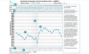 fertility awareness method part two basal body temperature