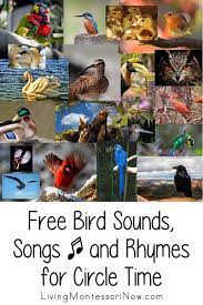 free songs and rhymes archives living montessori now birds for kids finger plays identifying birds